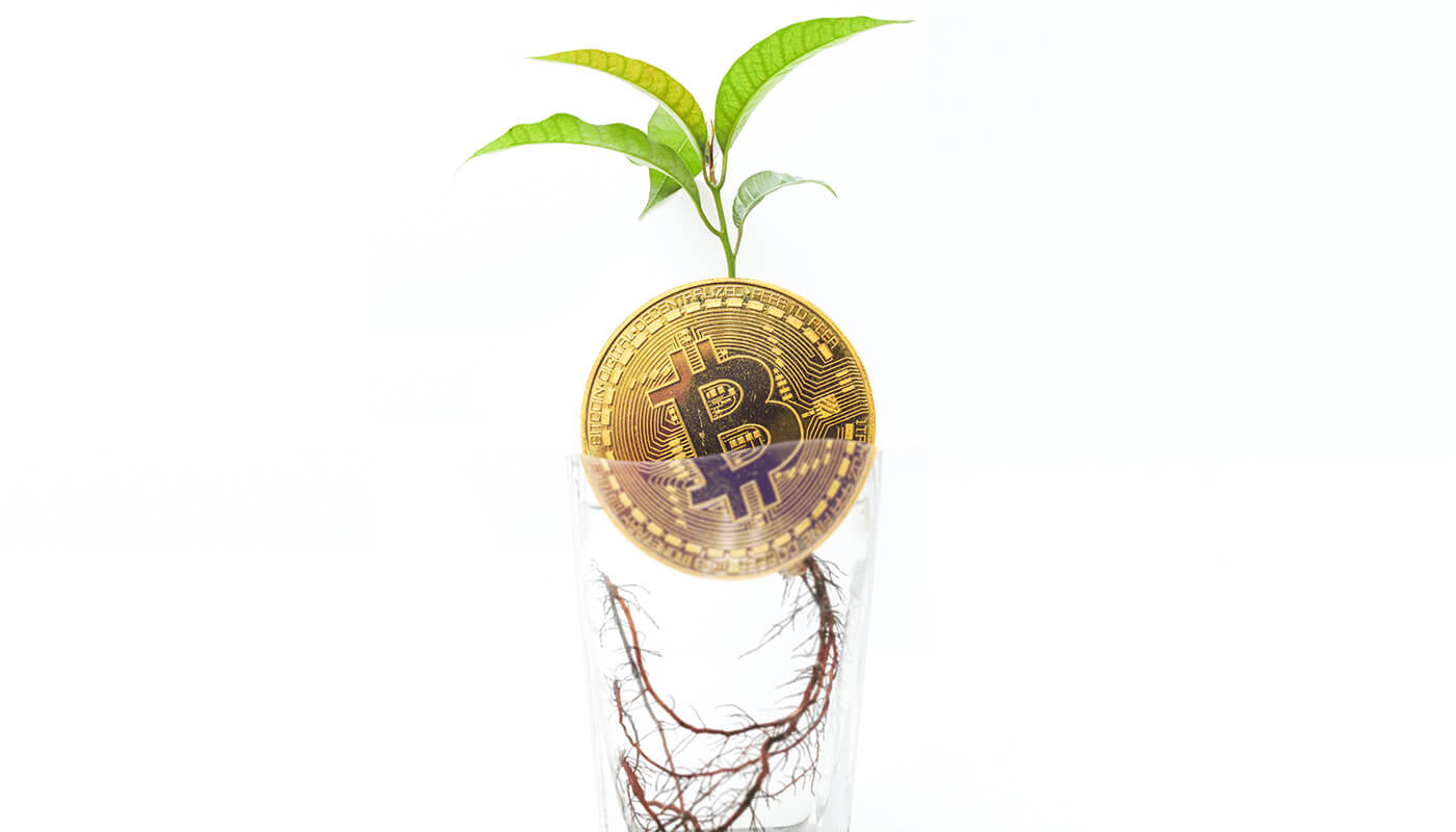how to buy taproot crypto